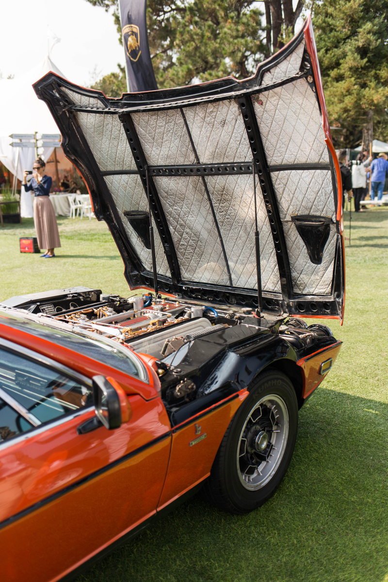 Illustration for article titled How to Navigate America's Fanciest Car Show
